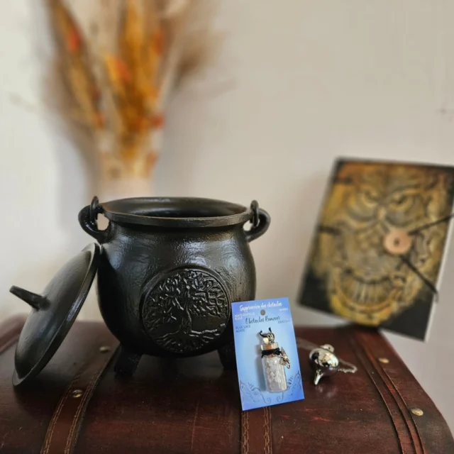 Vandaag komen er weer heel wat nieuwe spulletjes online in de webshop 🌸 Denk aan ketels, agua florida, heel nieuw assortiment aan pendels, grimoires, leuke mokken, juweeltjes...

Kom zeker eens kijken op www.hetrijkvanholle.be 

Warme groet

Holle