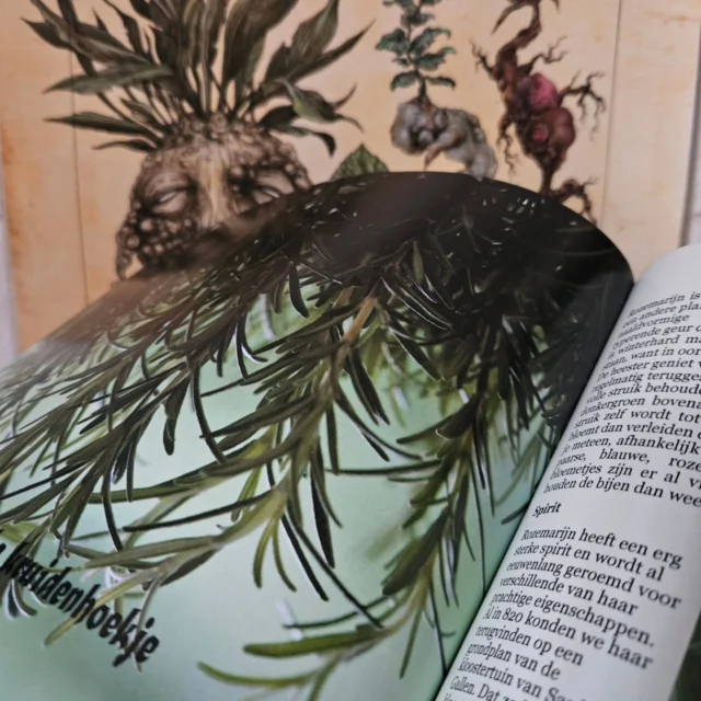 In Holle´s magische kruidenhoekje lees je deze keer over de magische, medicinale en culinaire toepassingen van #rozemarijn.

Lees mijn vaste rubriek in Kruidentaal Magazine. Een super fascinerend magazine voor en door kruidenliefhebbers.

Bestellen kan op de website van  @kruidentaal.nl 

#hetrijkvanholle #hollesmagischekruidenhoekje